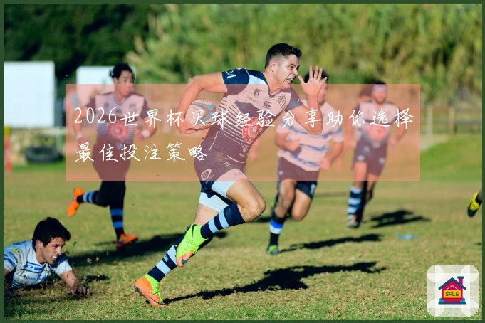 2026世界杯买球经验分享助你选择最佳投注策略
