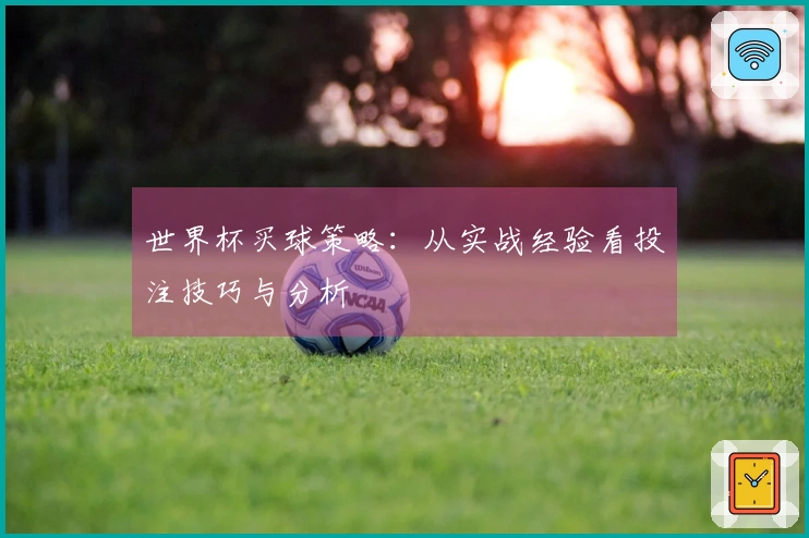 世界杯买球策略：从实战经验看投注技巧与分析