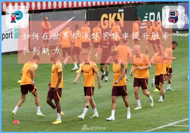 如何在世界杯滚球买球中提升胜率和判断力