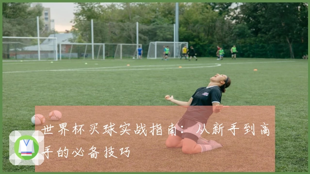 世界杯买球实战指南：从新手到高手的必备技巧